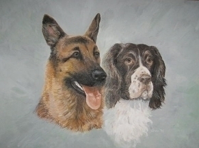 My german shepherd Lucy, and English Springer Spaniel Micki.