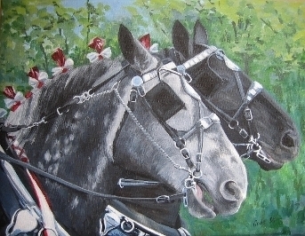 Percherons at work.