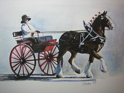 single carriage, clydesdale
