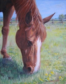 My horse grazing.