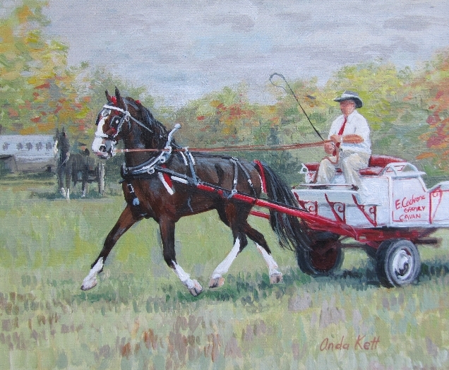 Single commercial horse hitch.