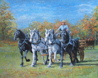 Percherons, 4 abreast.