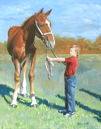Belgian, horse portrait