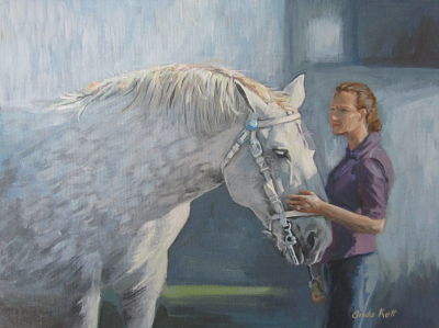 Percheron, horse portrait