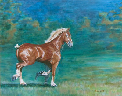 Belgian, horse, halter class