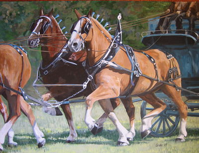 Belgian, part of a 6 horse hitch