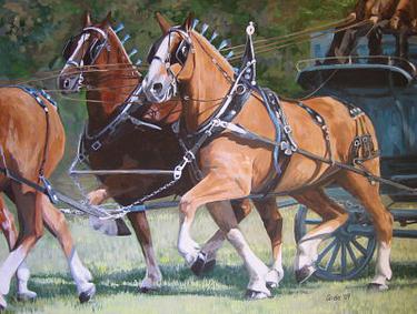 Belgian, part of a 6 horse hitch